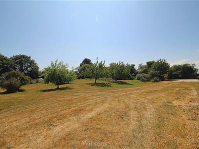 Picture 20